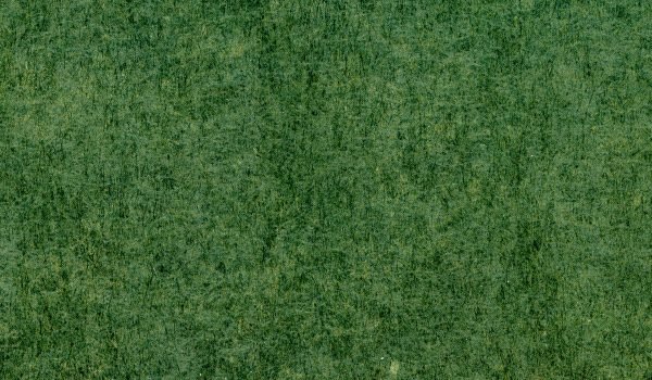 green-texture-closeup green-texture-closeup